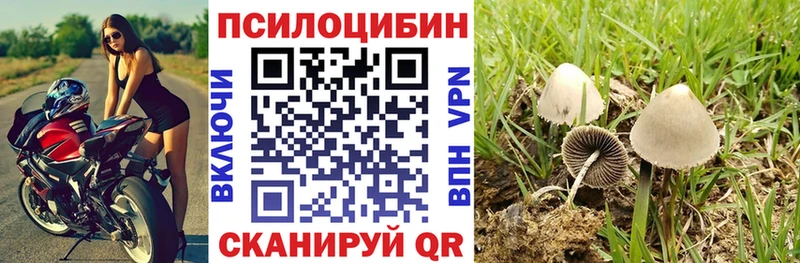 Псилоцибиновые грибы Psilocybine cubensis  Купить где  Кондрово 